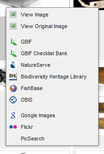 External Links