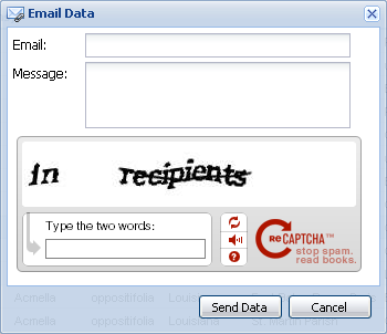 Email Support