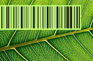 Herbarium Barcodes